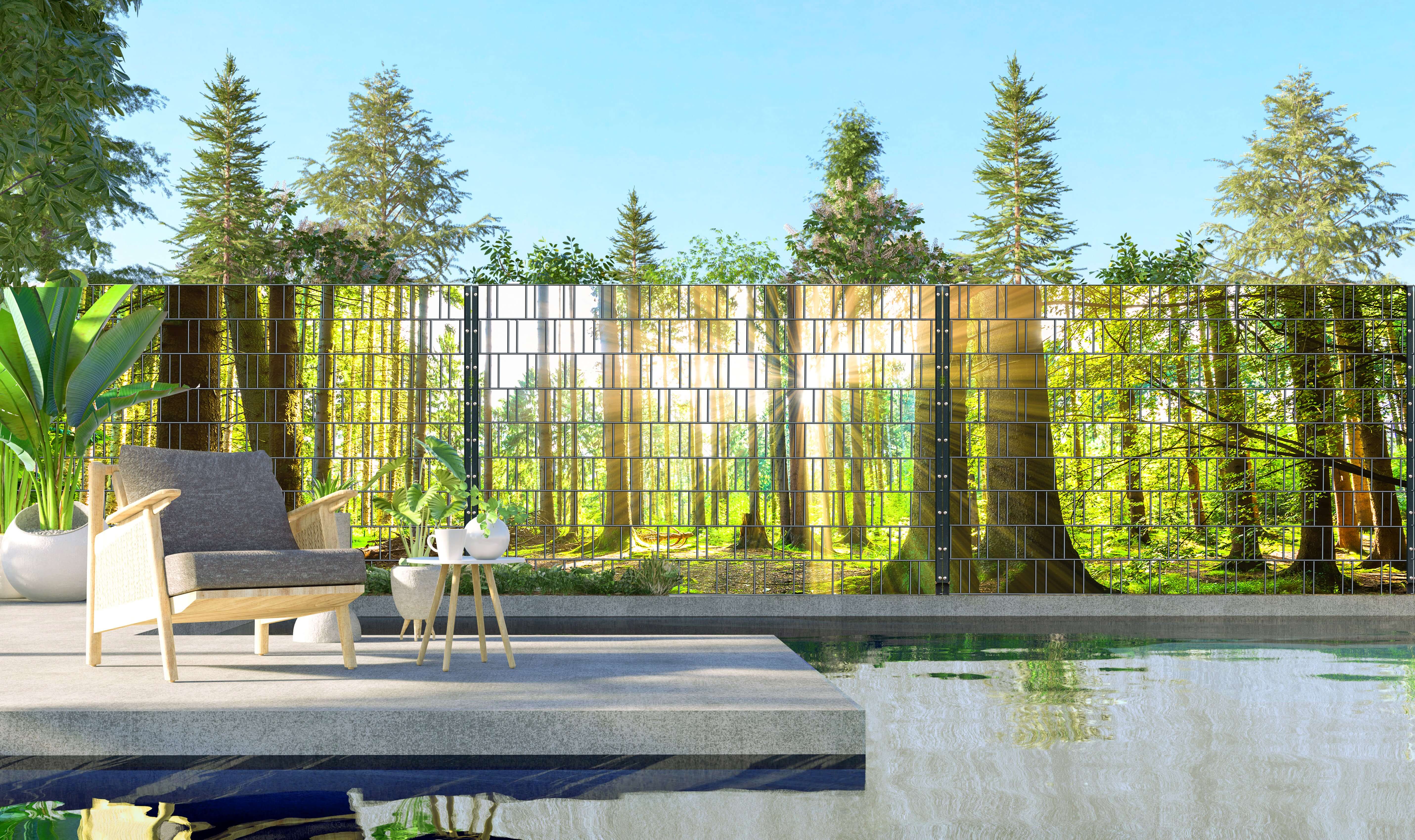 Hinterhof, Natur, Baum, Garten, Innenarchitektur
