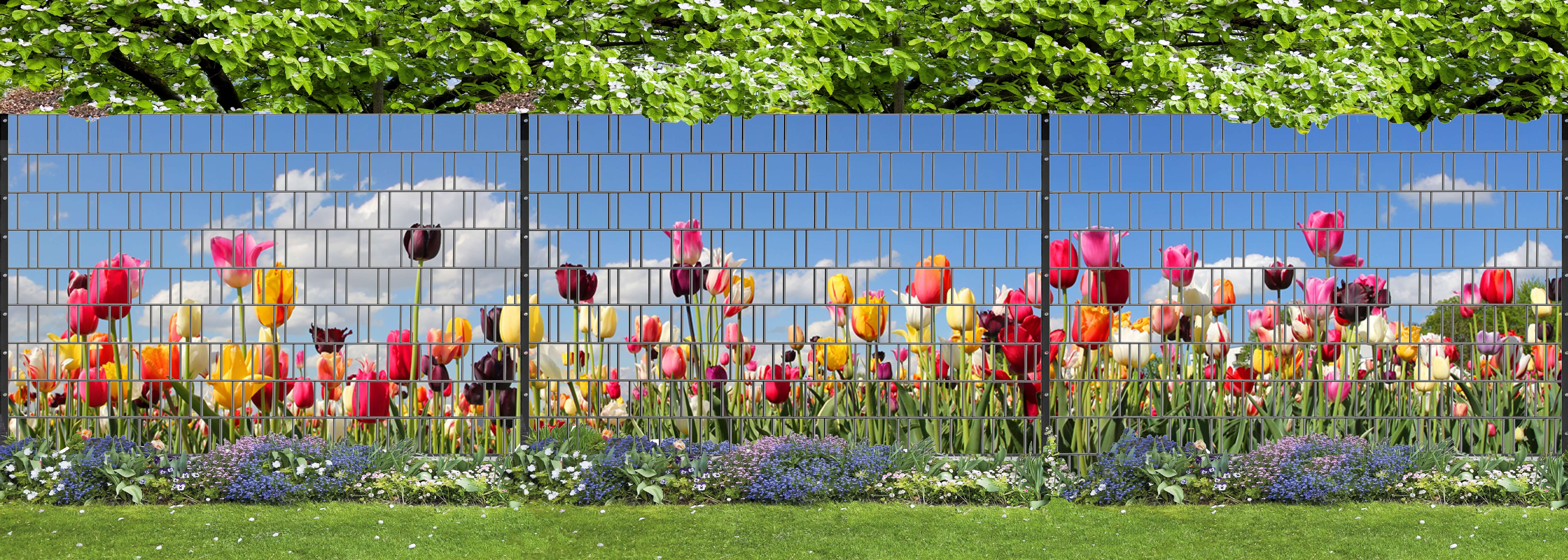 Tulpen - Panorama XXL Dekorative Zaunabdeckung fürme, Tulpe