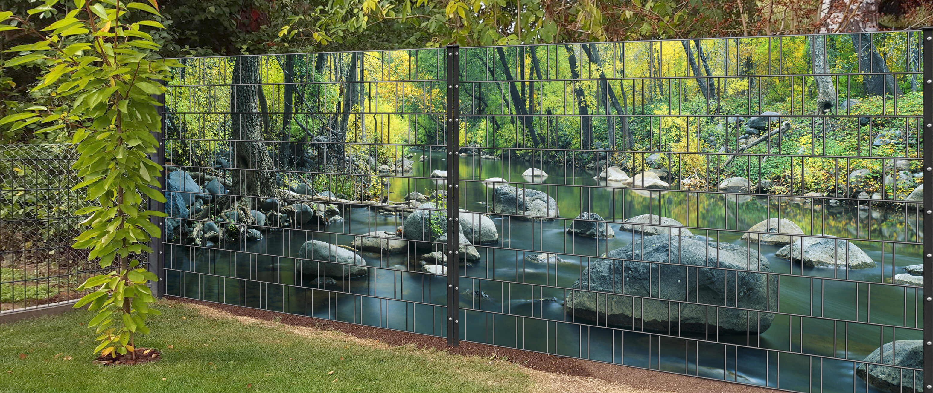 Zoo, Natur, Draußen, Teich, Hinterhof