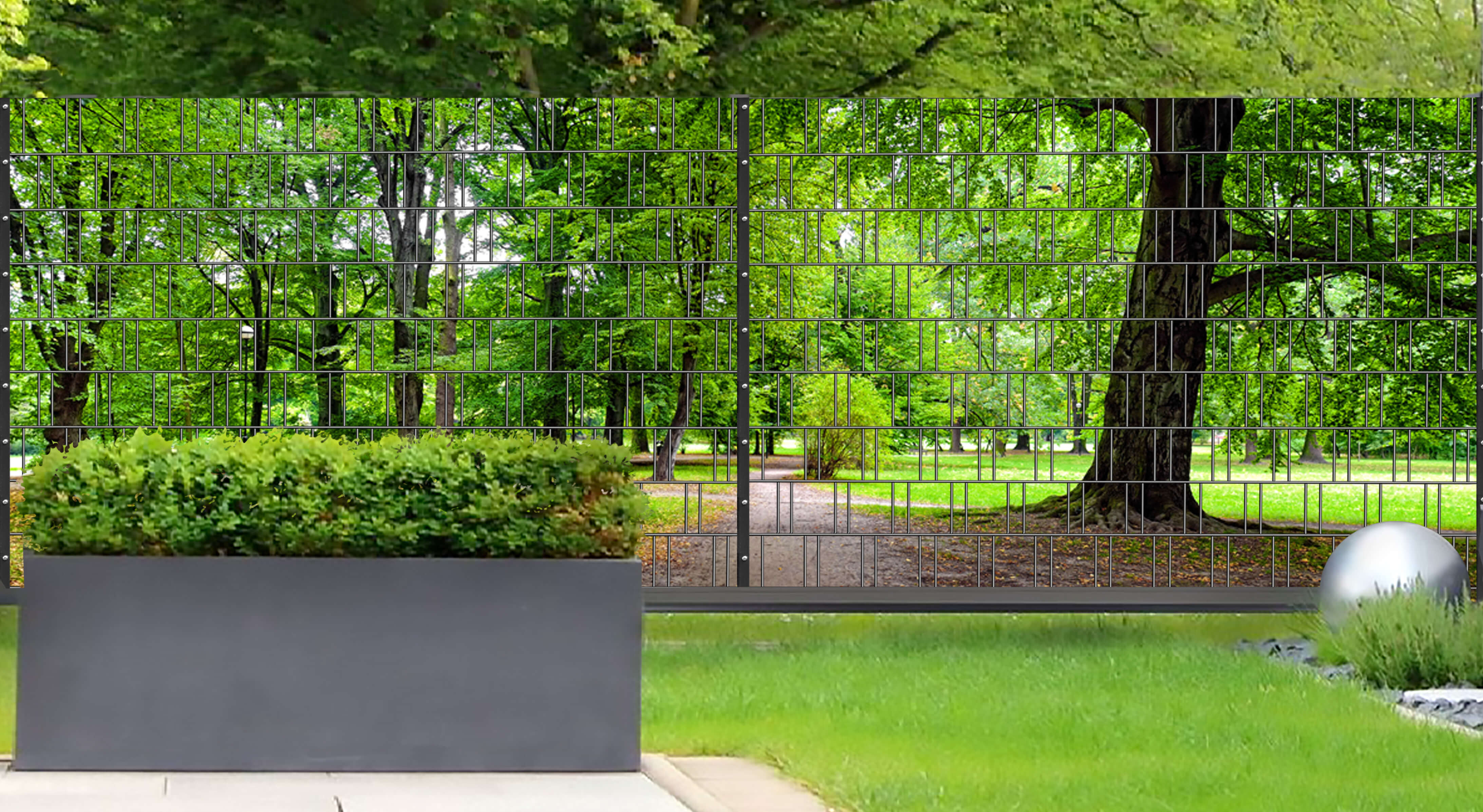 Gras, Im Freien, Parken, Hinterhof, Baum