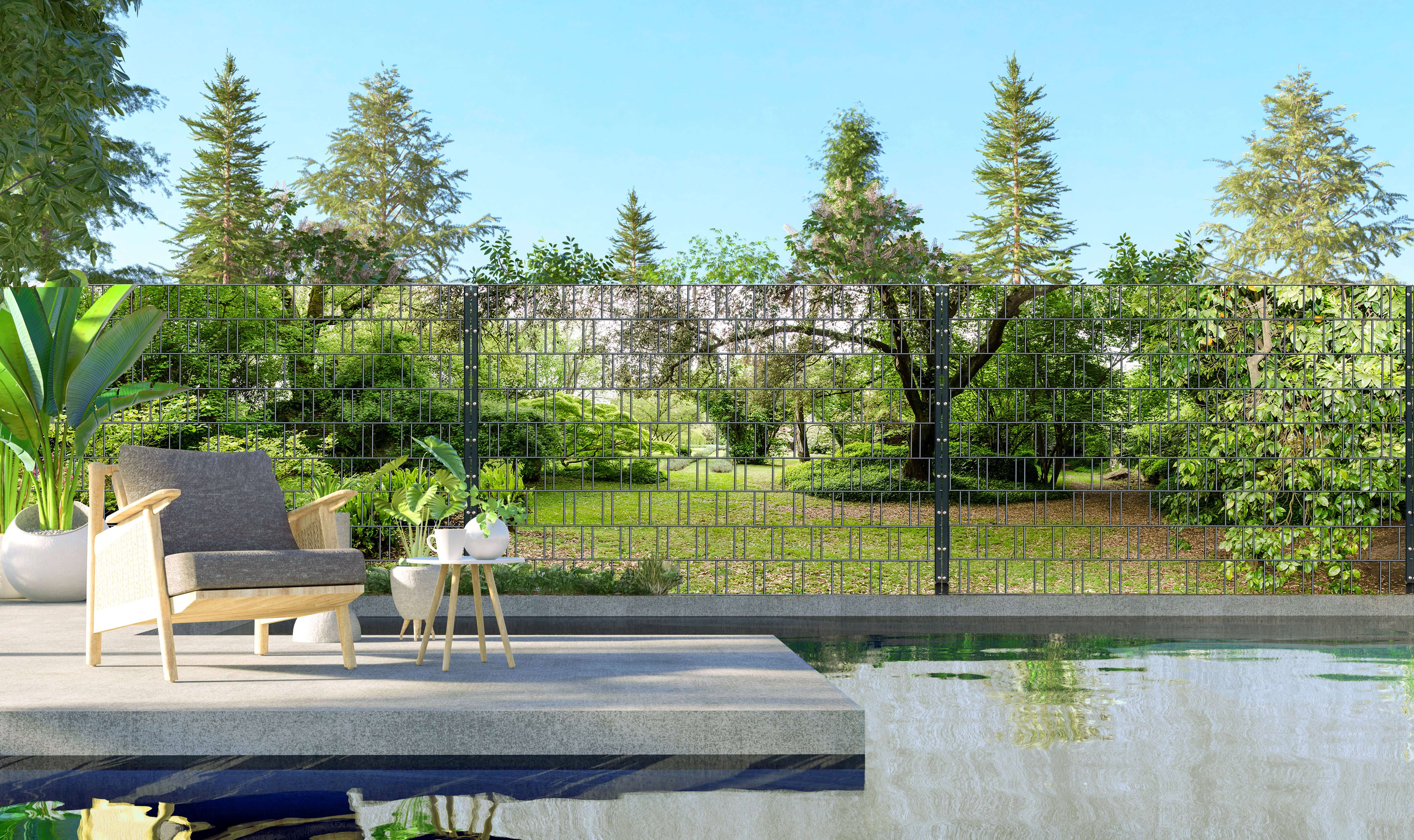 Hinterhof, Natur, Draußen, Garten, Baum