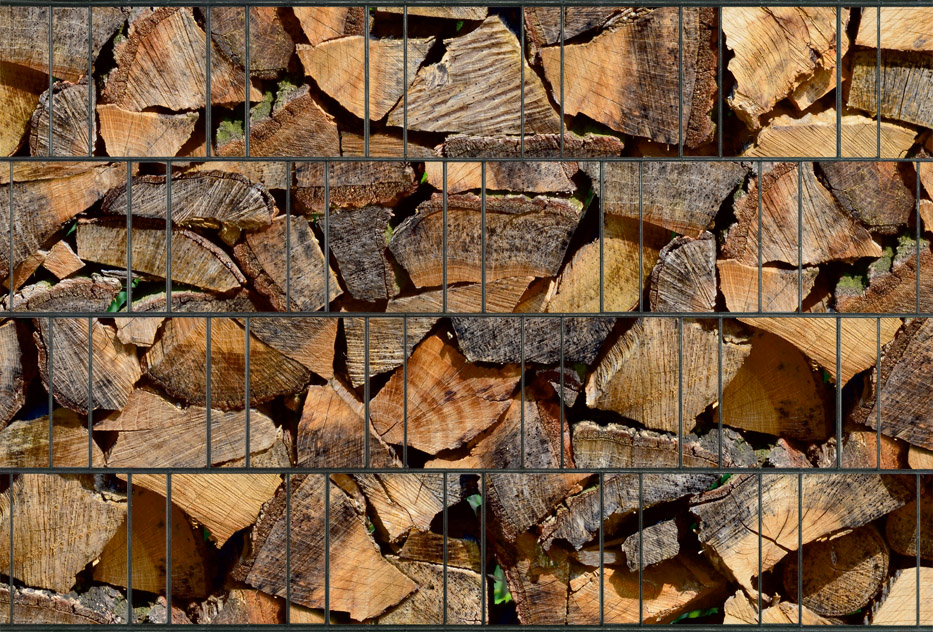 Holz