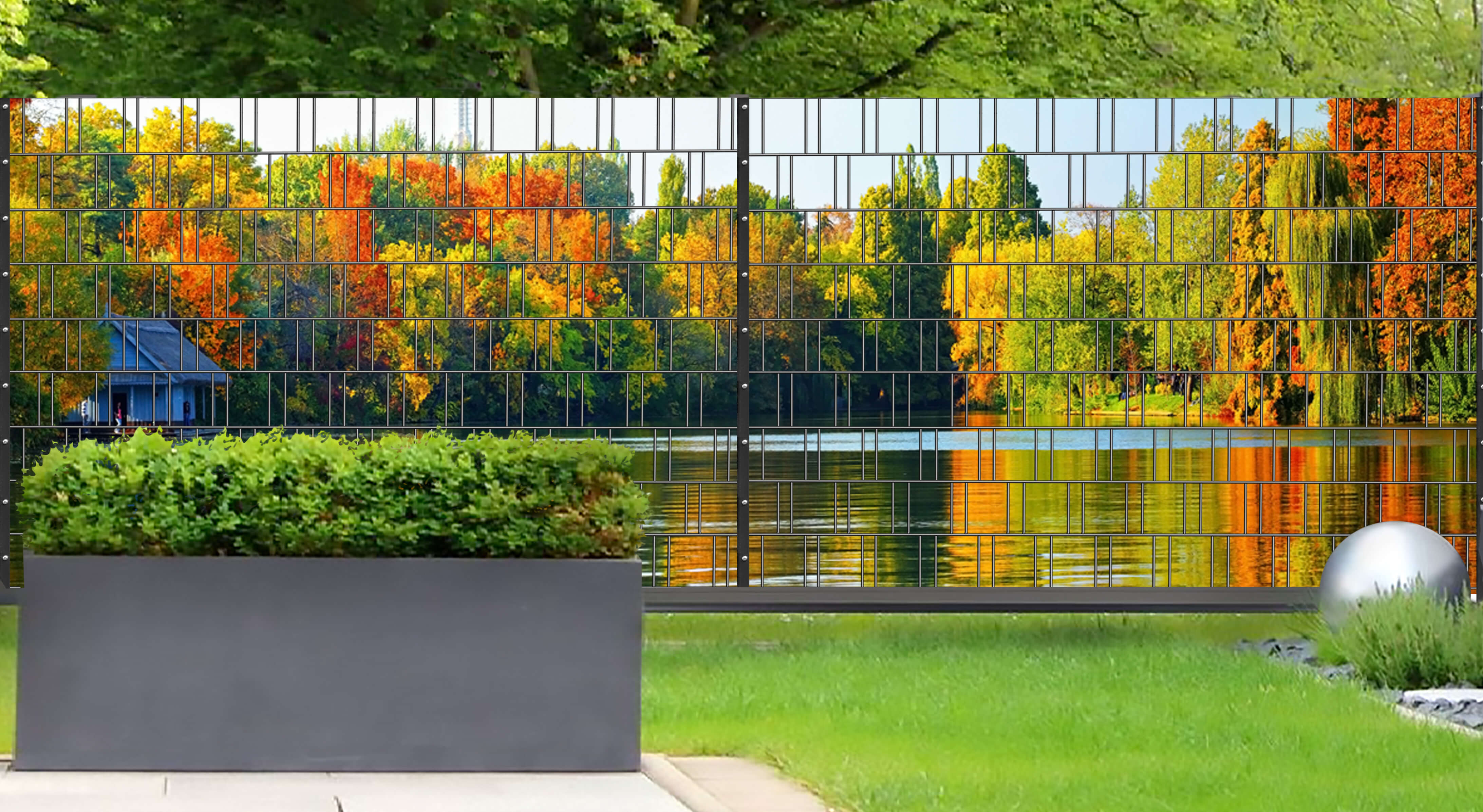 Gras, Im Freien, Parken, Szenerie, Hinterhof