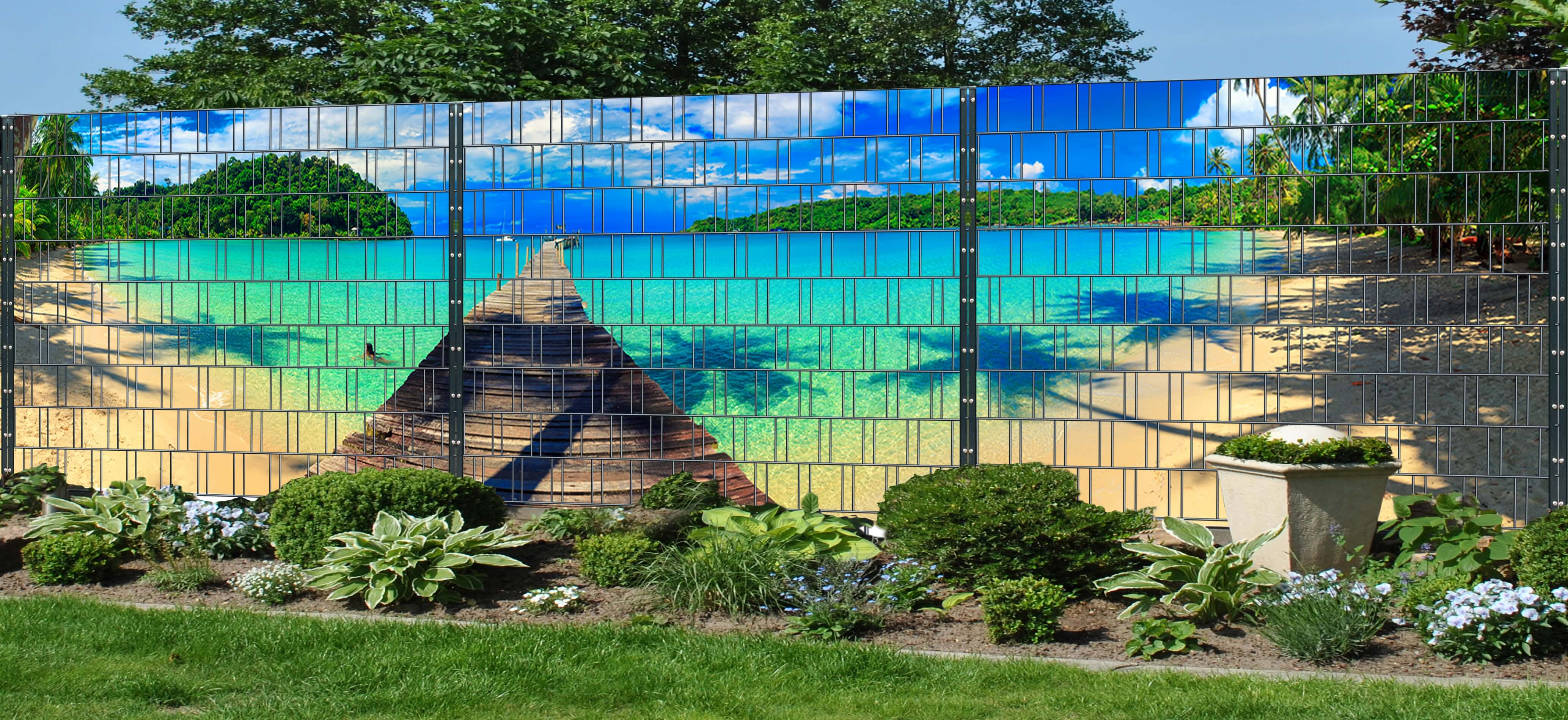 Hinterhof, Natur, Garten, Gras, Topfpflanze