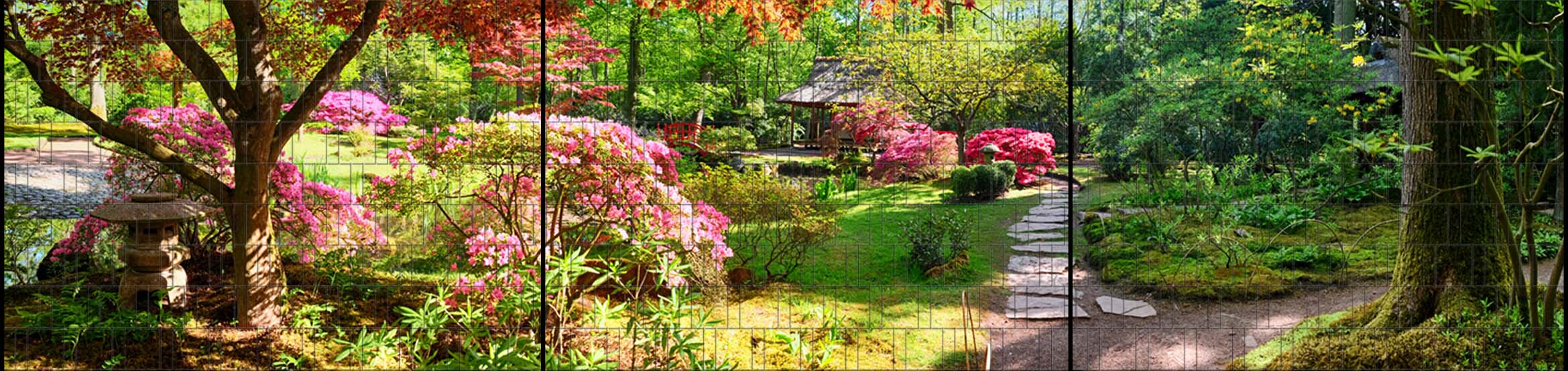 Natur-XXLmi9QkmMq6VIcc