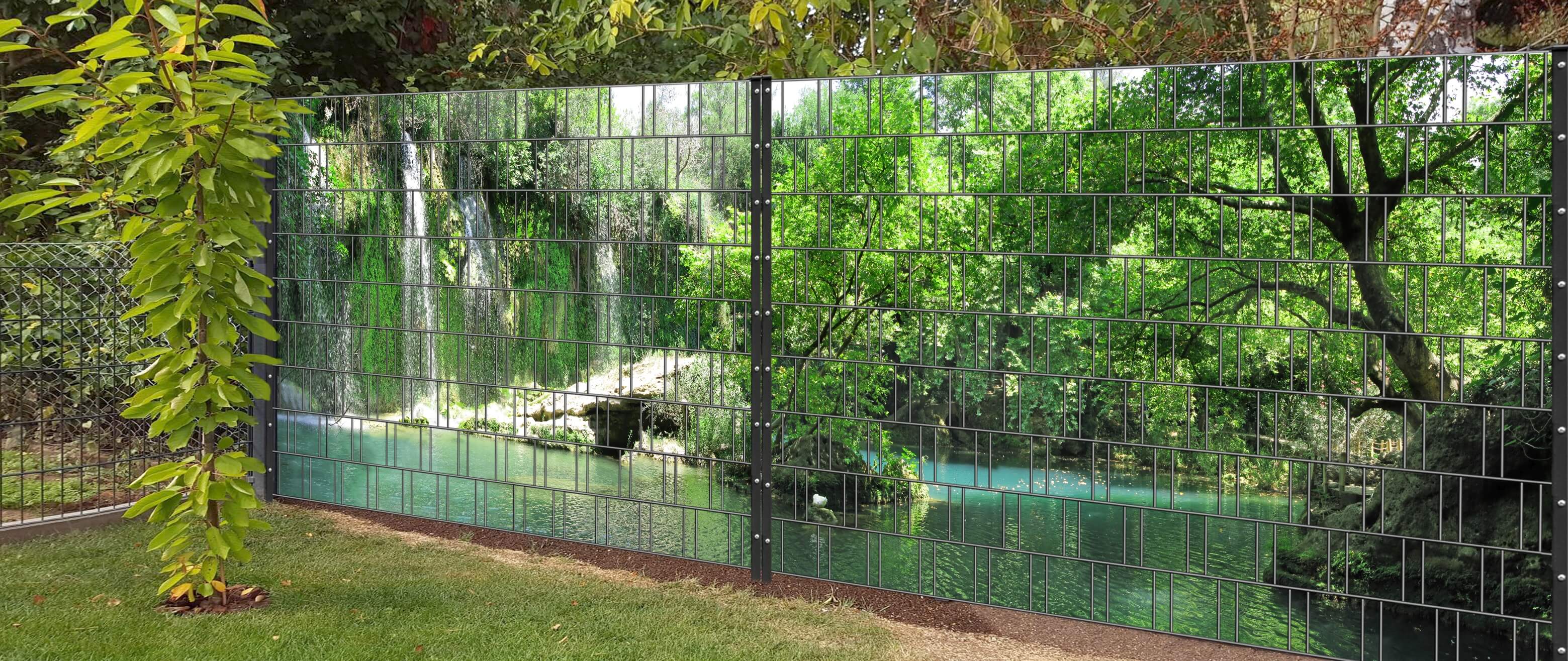 Zoo, Hinterhof, Garten, Vegetation, Tor