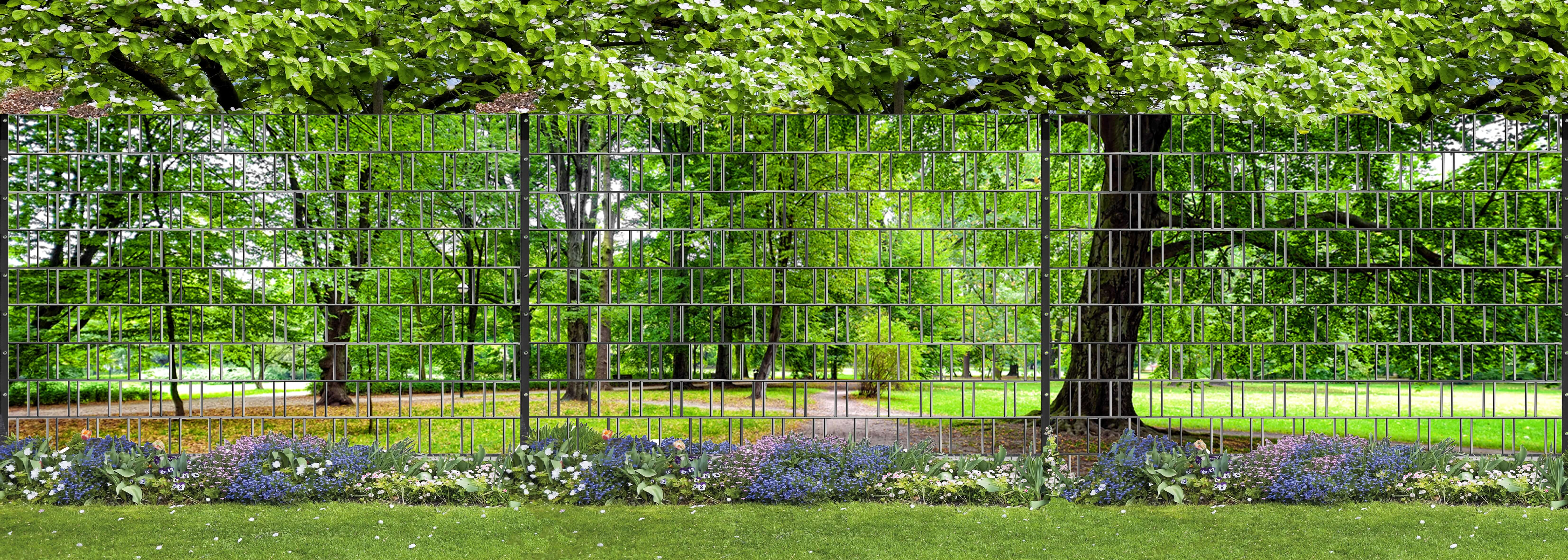 Garten, Gras, Park, Baum, Hinterhof