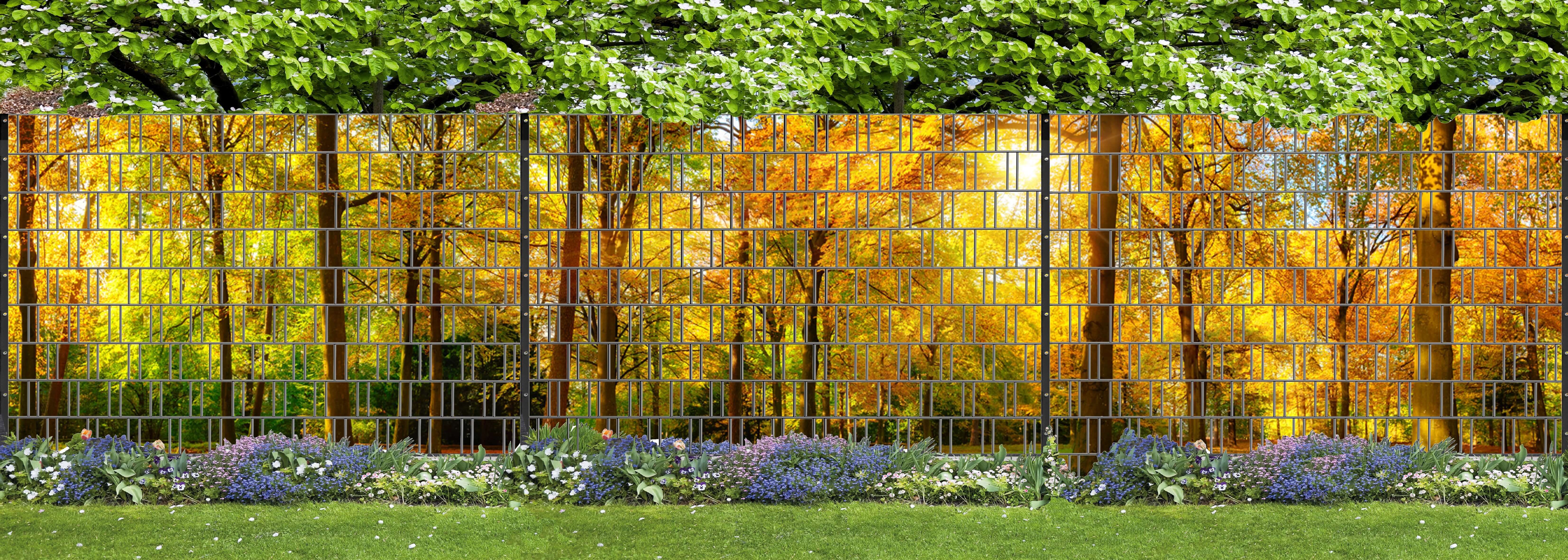 Baum, Garten, Gras, Park, Bewuchs