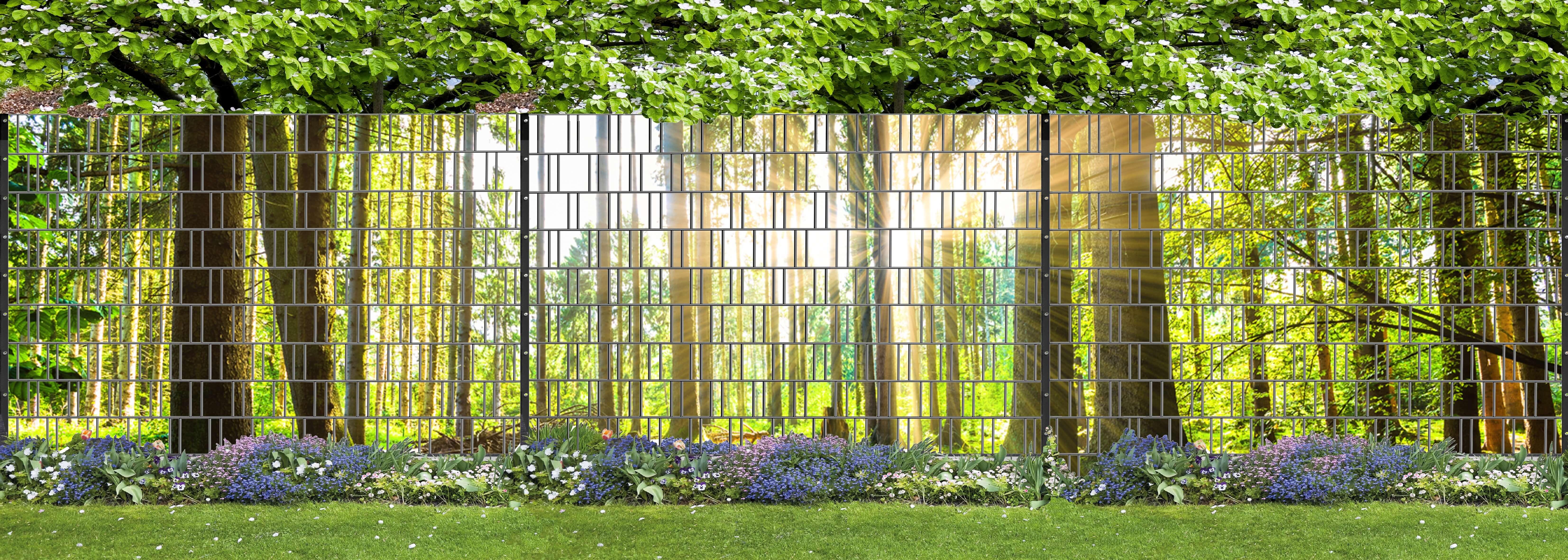 Garten, Natur, Hinterhof, Zaun, Gras