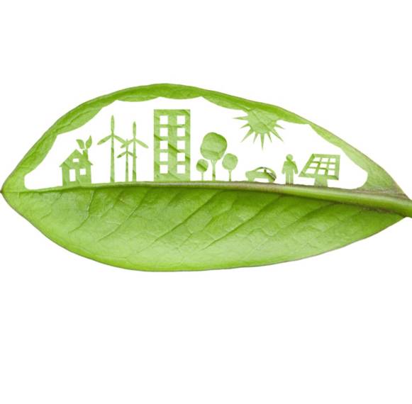 Ecological Production Ecological Production