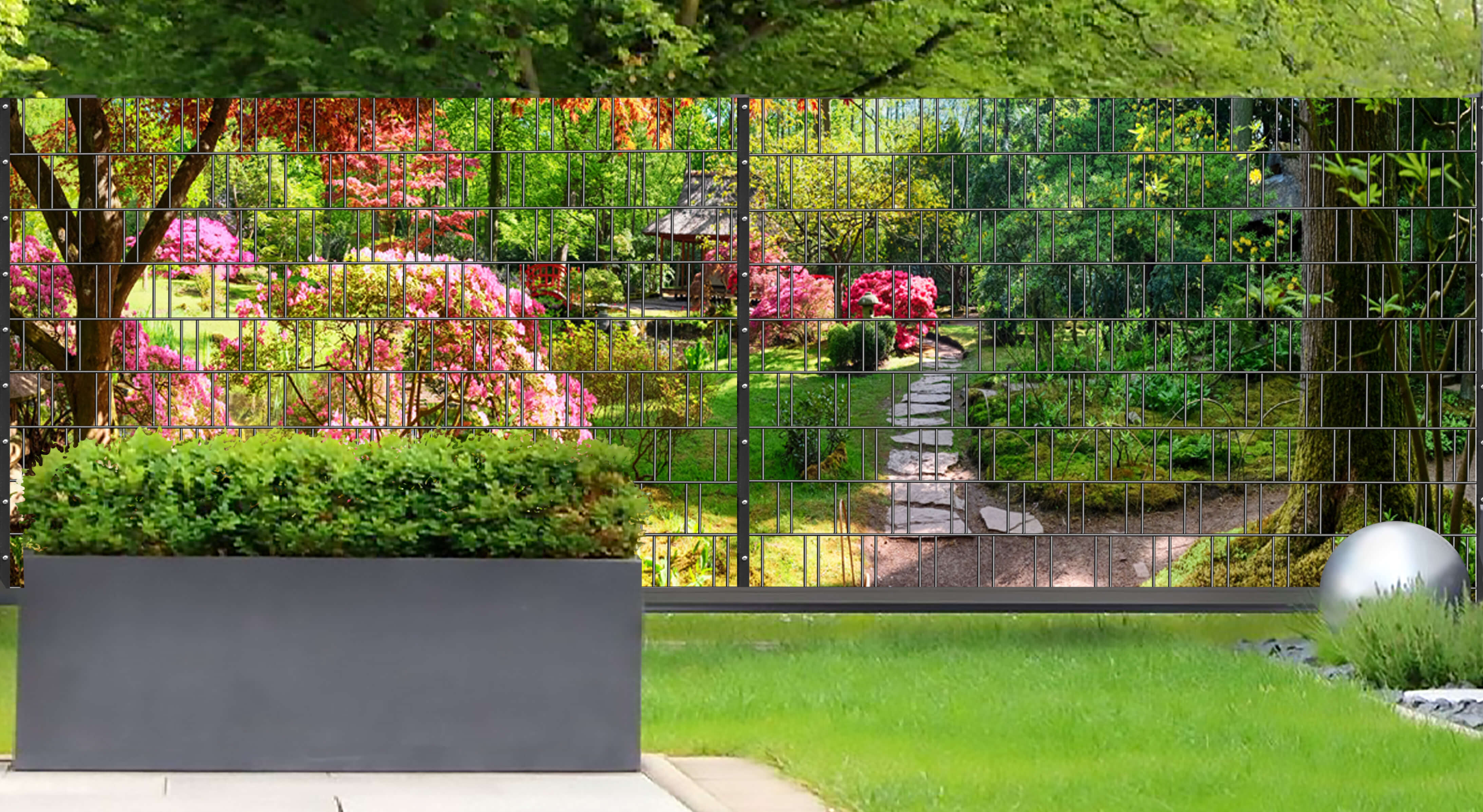 Gras, Im Freien, Parken, Garten, Hinterhof