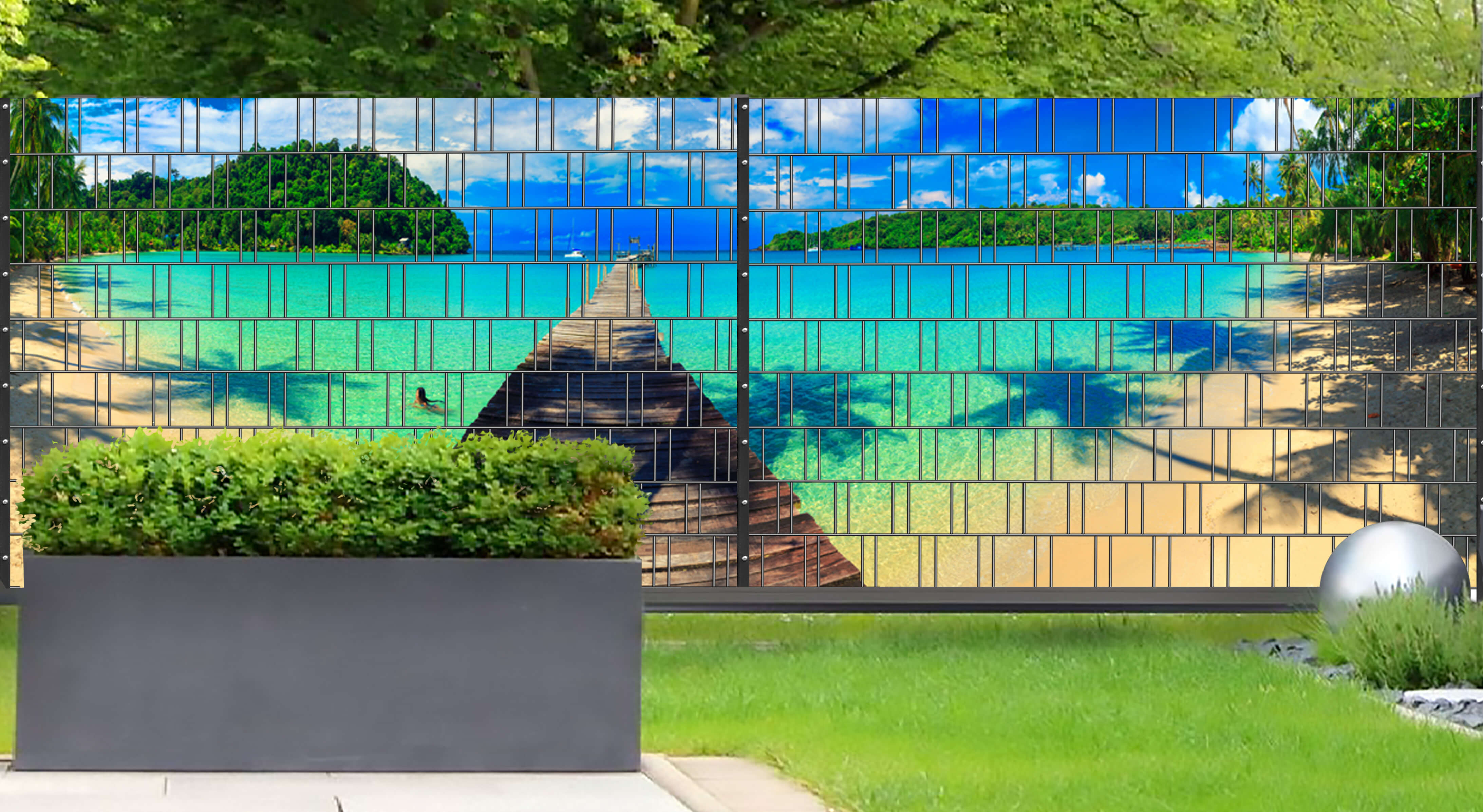 Gras, Zoo, Hinterhof, Draußen, Vegetation