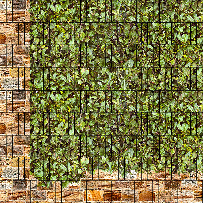 Roma & Kirschlorbeer - Bedruckter Zaun Sichtschutz