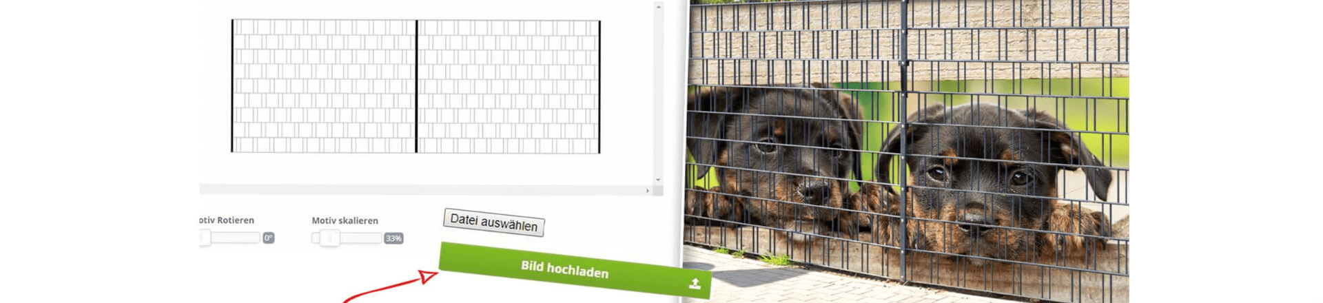 Ihr eigenes Foto Höhle, Schwein, Hundehütte, Hund, Den, Drinnen, Hundehütte, Hund, Zwinger, Den, Schwein, Hundehütte, Zwinger, Hund