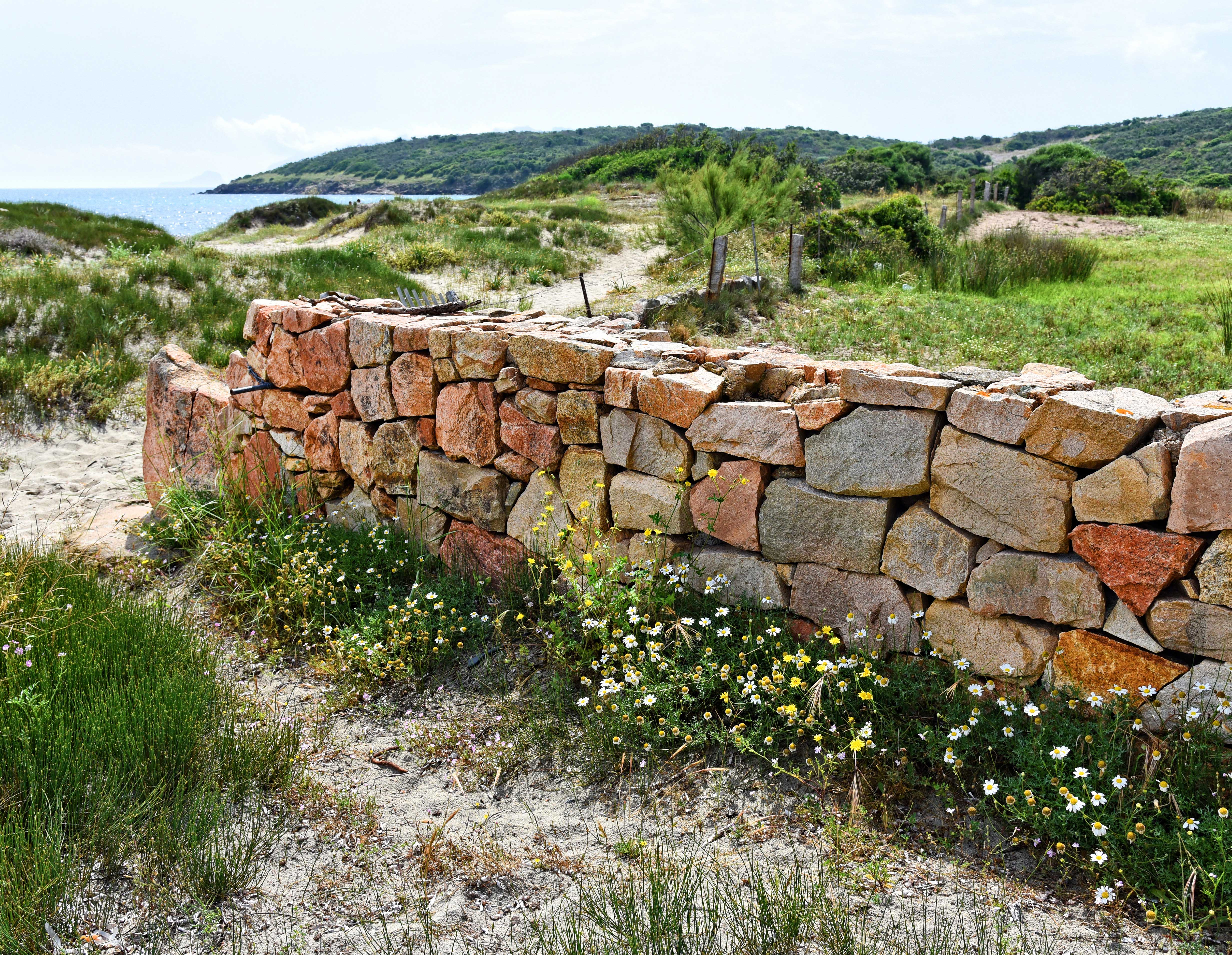 200x155_coast-3450342 Zaunposter & Gartenposter Küstenlandschaft