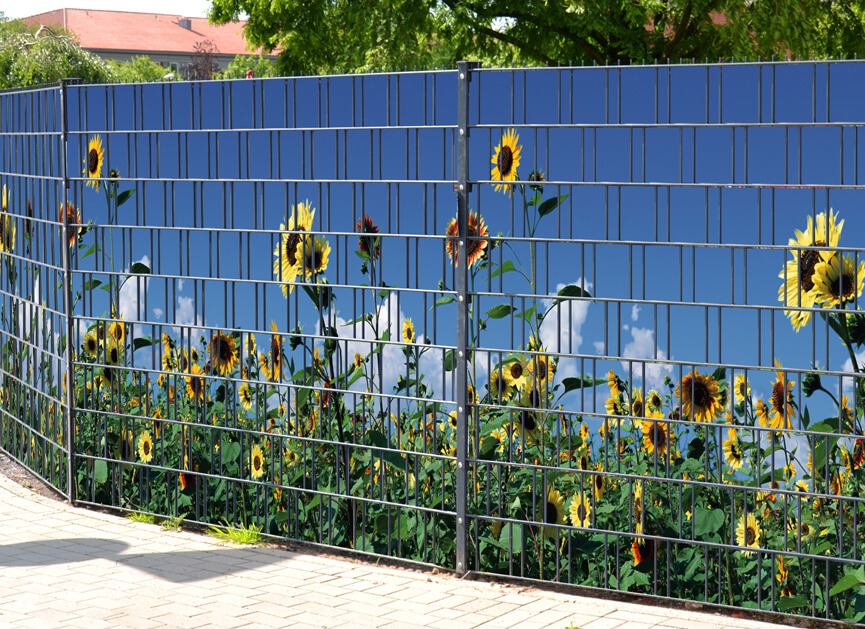 Gartenzaun, Sonnenblumen, Blumenmuster, Metallzaun, Außenbereich