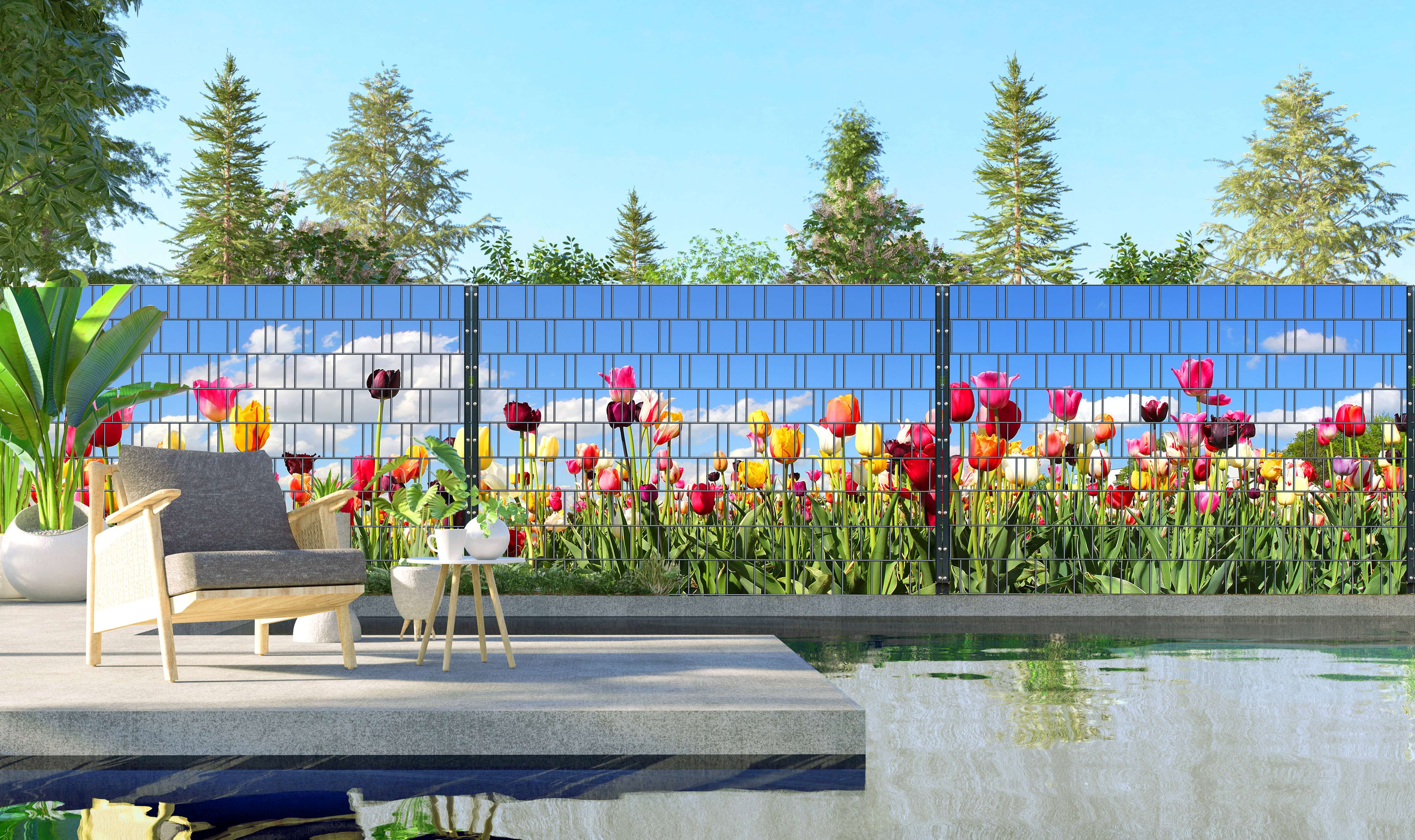 Garten, Natur, Draußen, Hinterhof, Blume