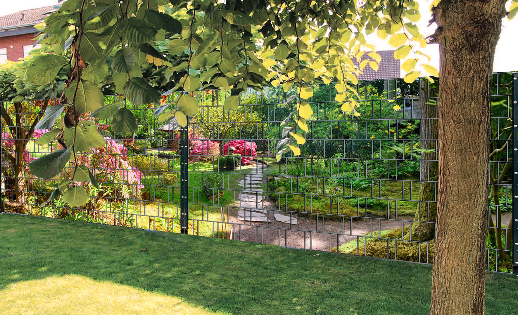 Garten, Natur, Hinterhof, Gras, Park