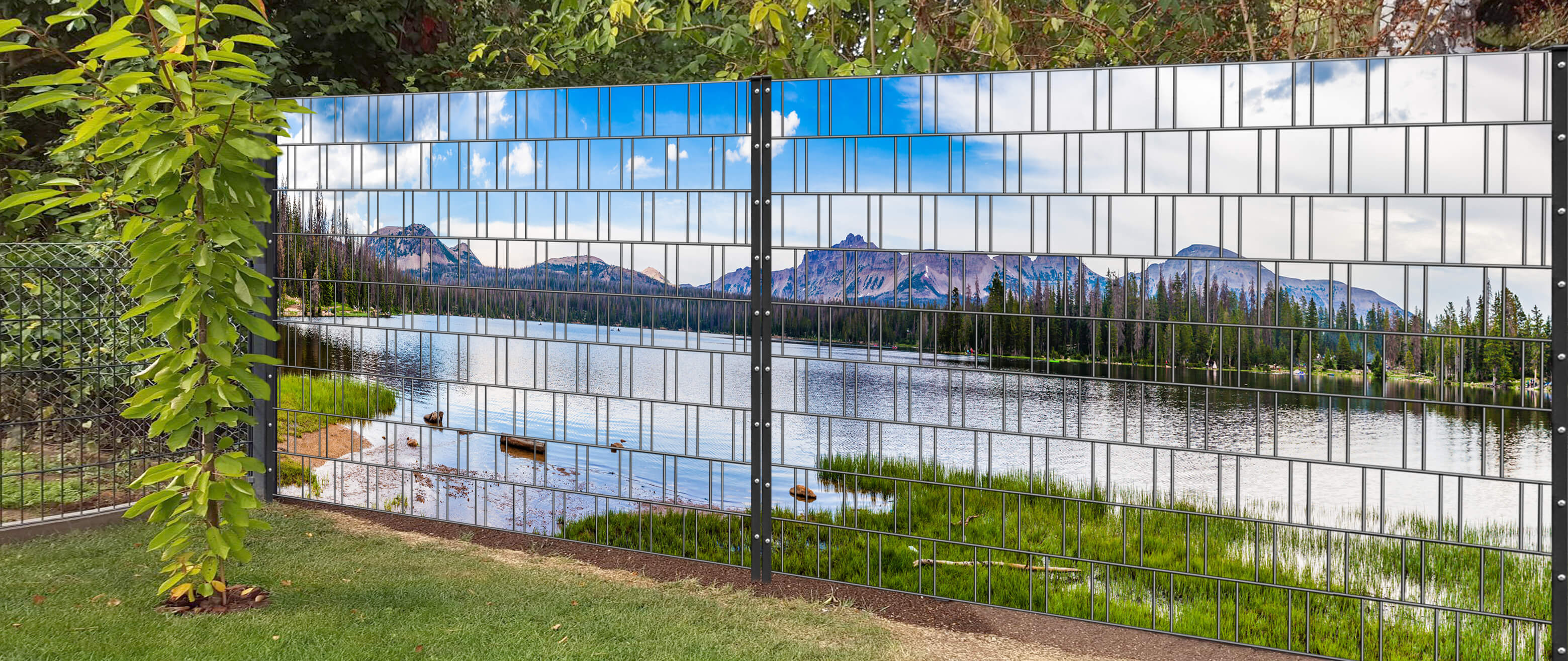 Natur, Draußen, Szenerie, Teich, Hinterhof