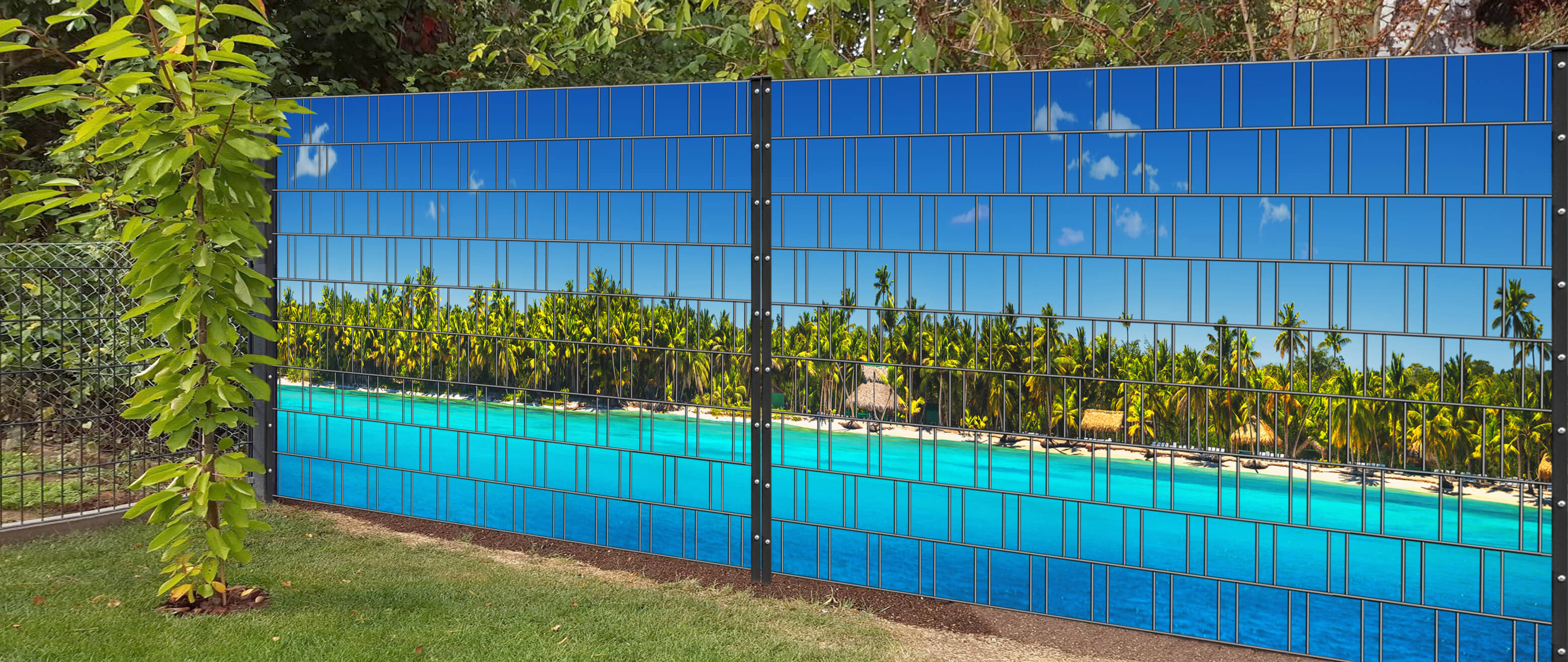 Hinterhof, Zaun, Sommer, Schwimmbad, Innenarchitektur